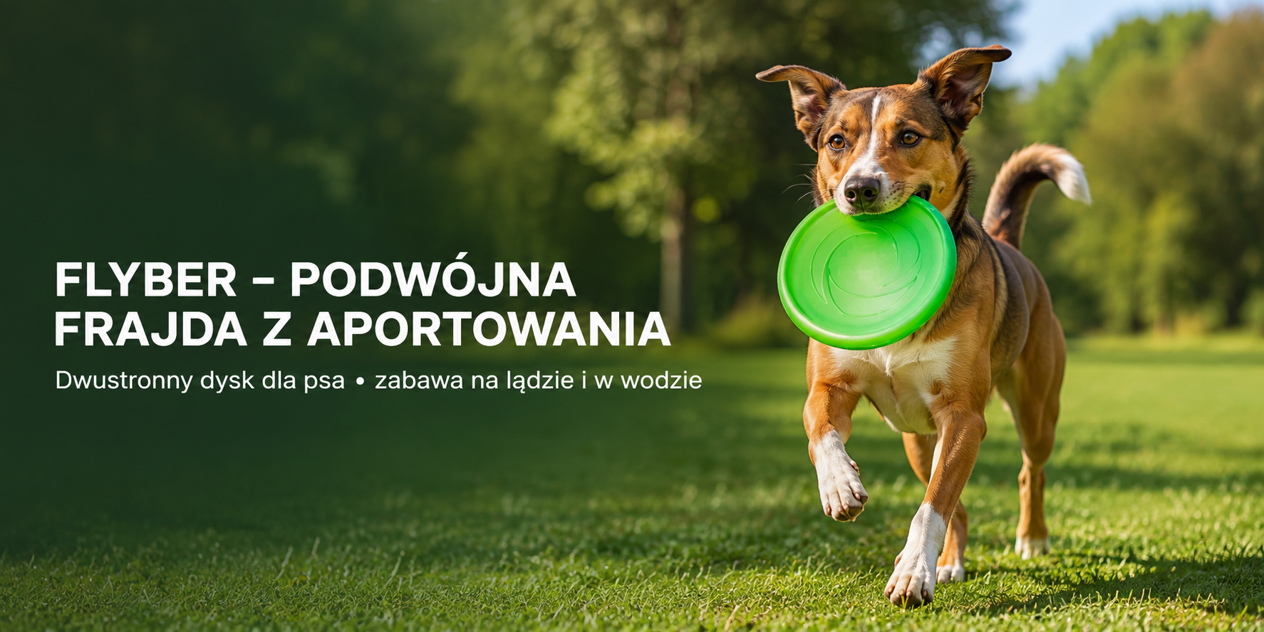 FLYBER dwustronny dysk frisbee dla psa do aportowania i zabawy w wodzie