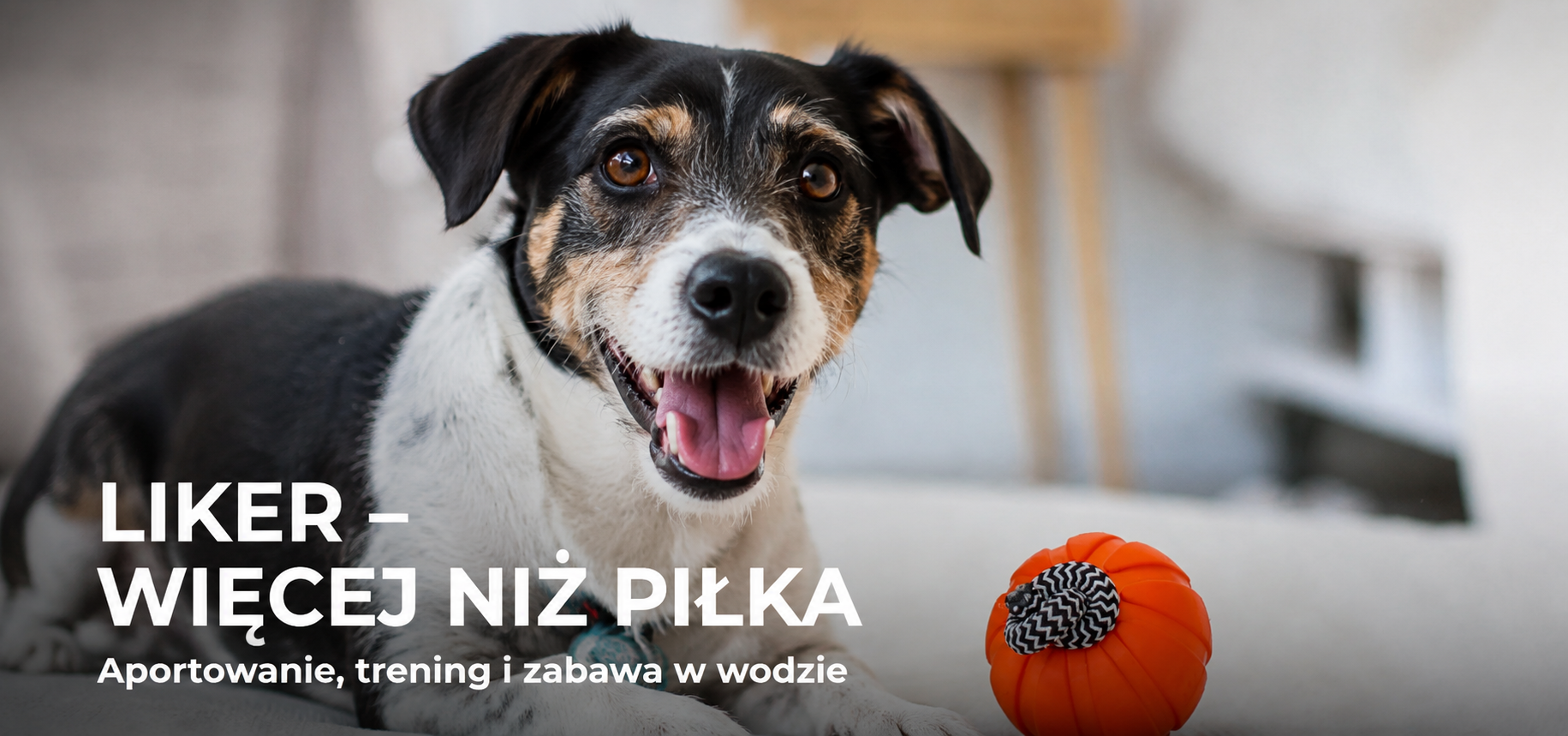 LIKER pomarańczowa piłka dla psa do aportowania i zabawy w wodzie