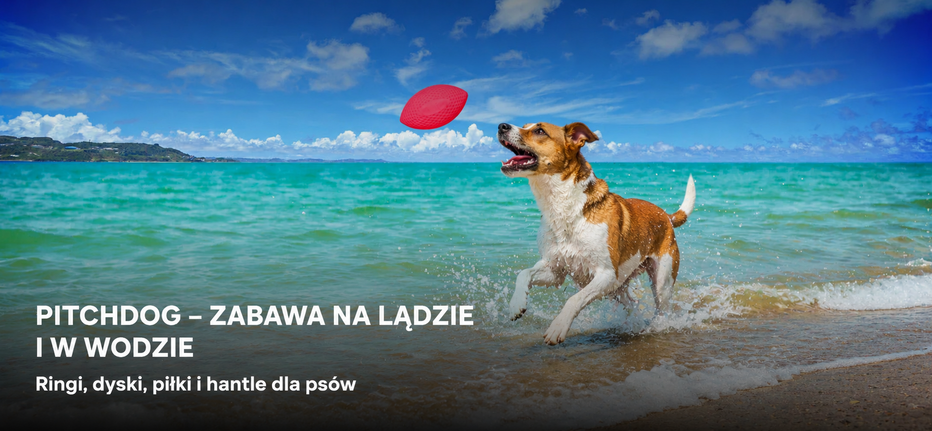 PITCHDOG pływające ringi dyski piłki i hantle do zabawy z psem