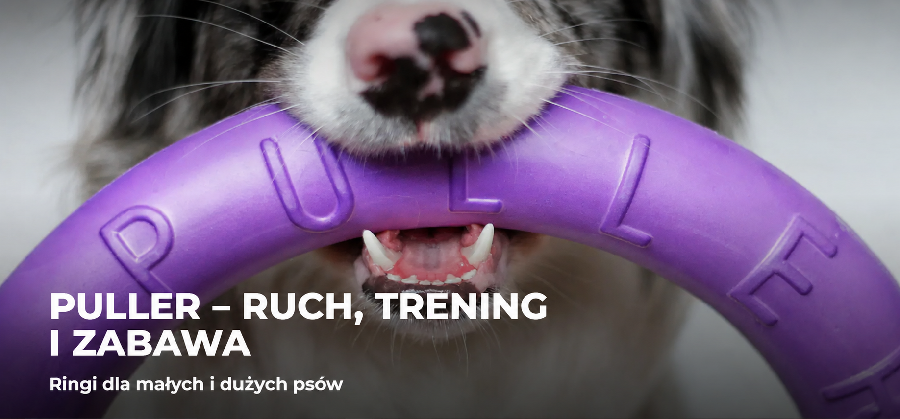 PULLER ring treningowy do aportowania i zabawy z psem